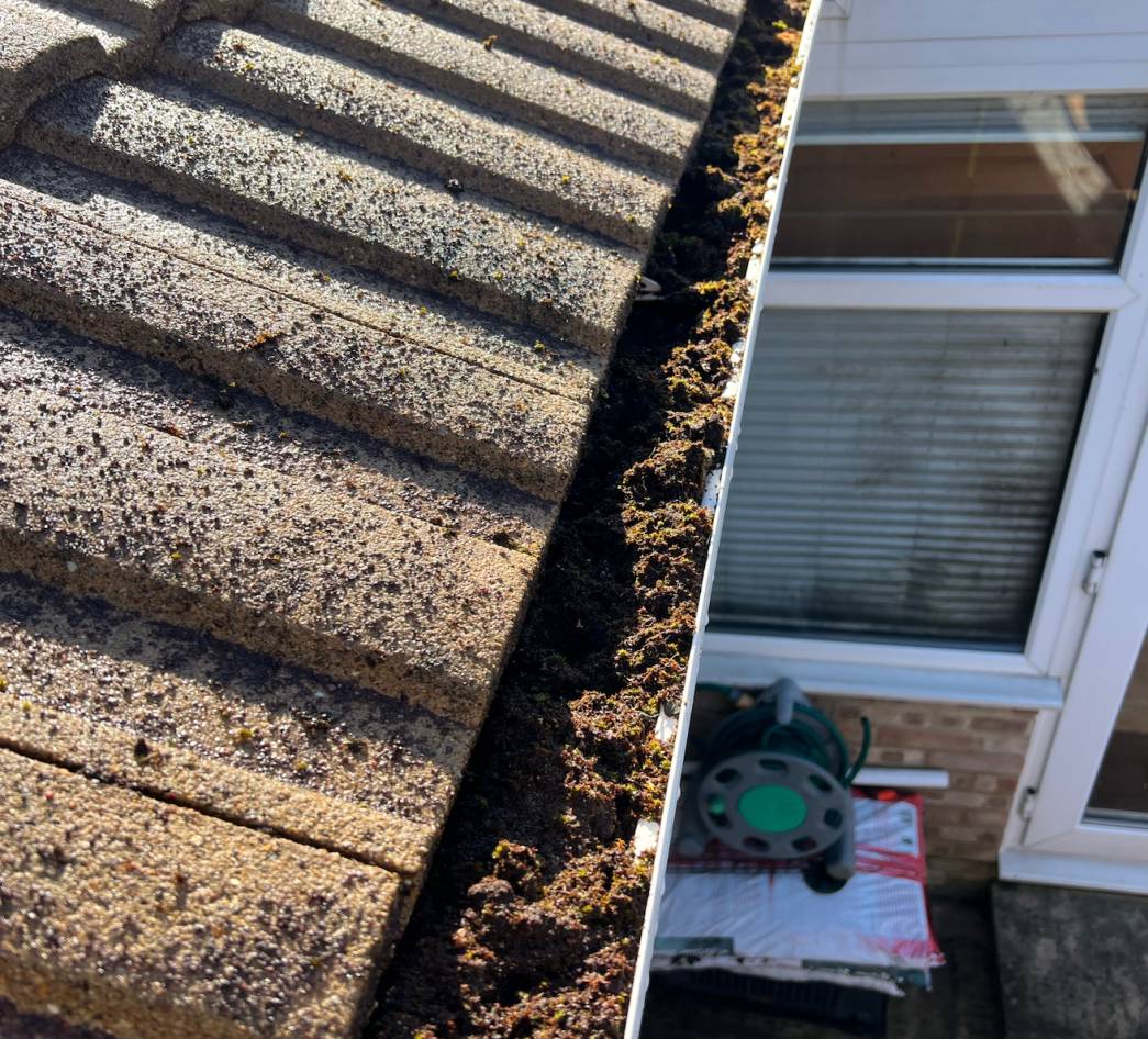 gutter cleaning cheltenham